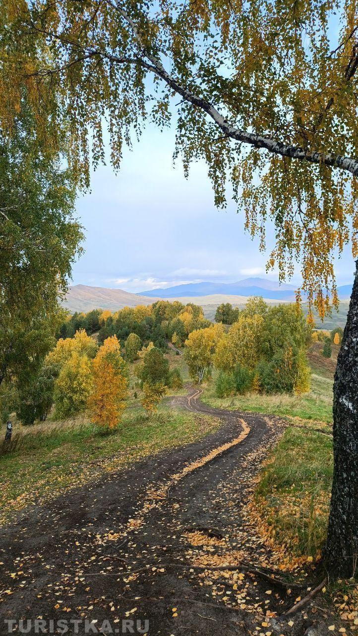 Алтай. Вид с горы Верхний Притор (634 метра над уровнем моря)
