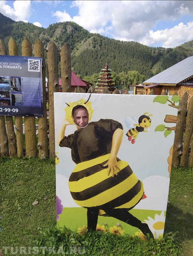 1. "Милый, я совершено по-другому представляла наш медовый месяц!" Чемал пасека 13.