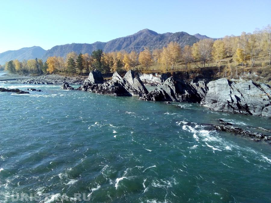 Зубы дракона 