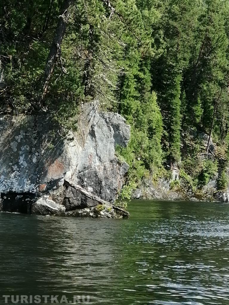 "Какая отвратительная рожа"