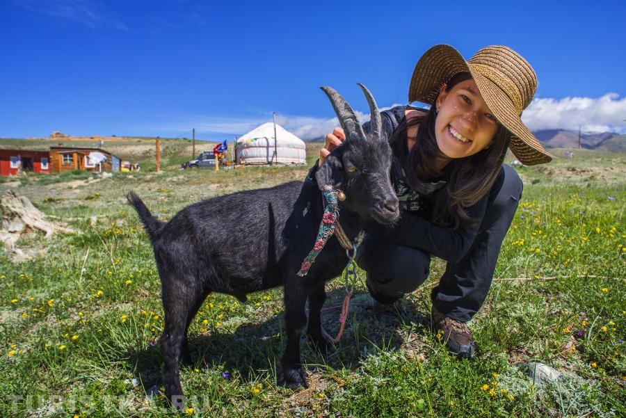 "А за козла ответишь!"