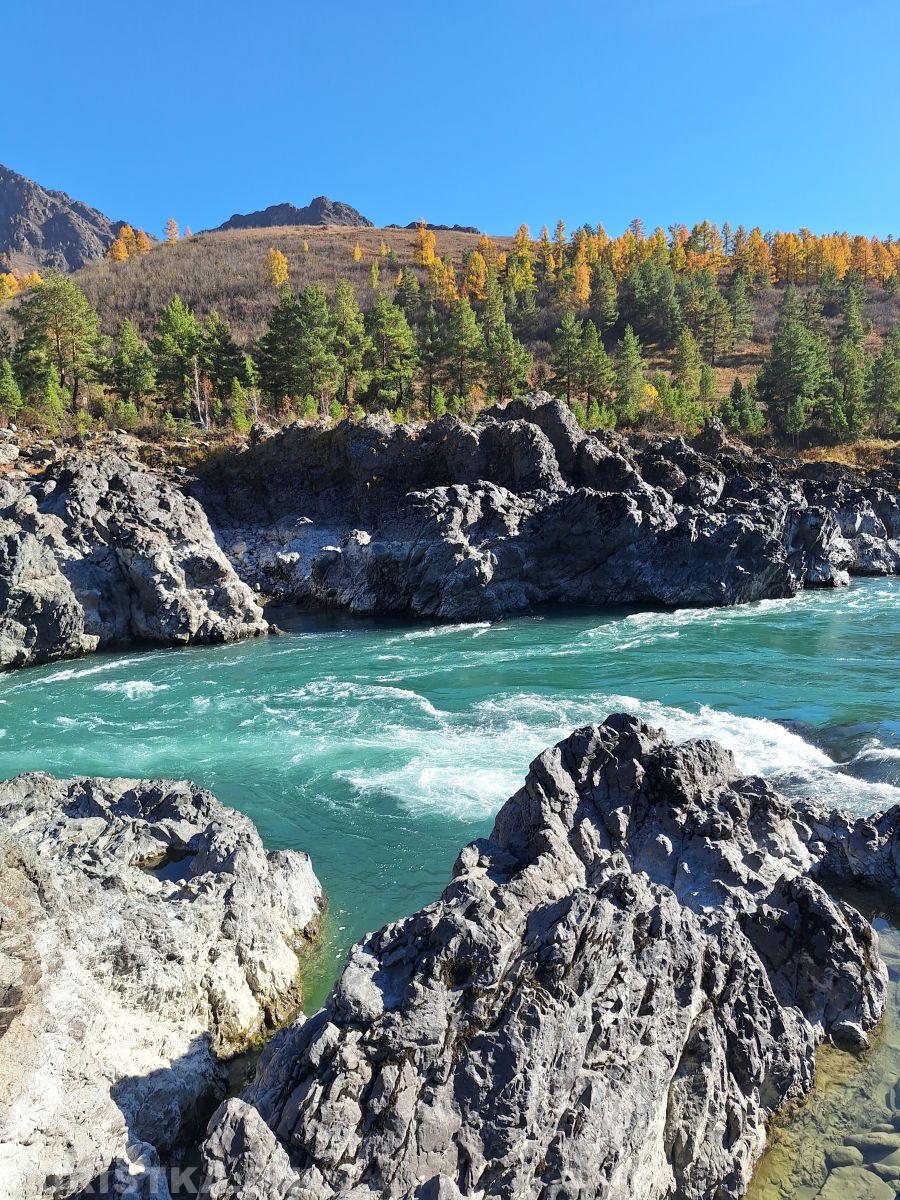 Алтай. Ороктойский мост 05.10.2024