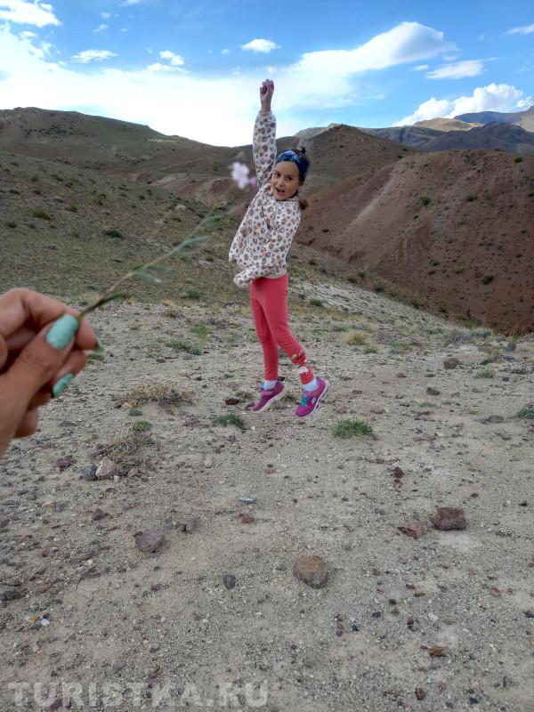 Хочу летать! Выше цветов, прям до облаков. Марсовы поля. 