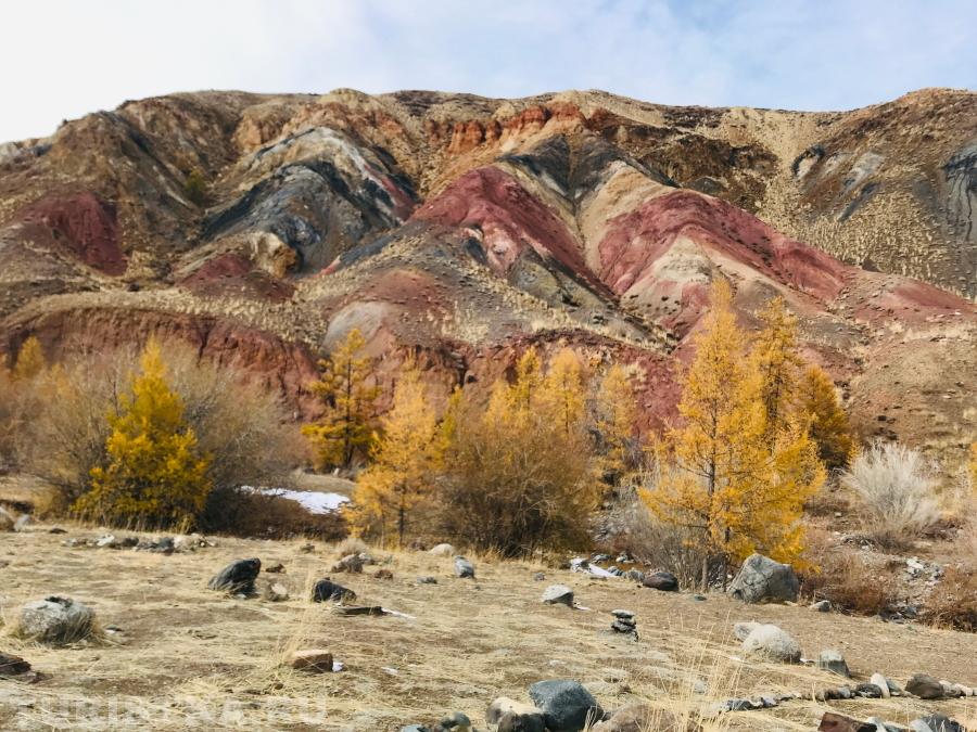 Марченкова Валентина. Алтайский Марс