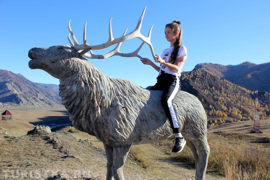 Маслова Наталья. "-Ты кто,Олень?-Почему? Ну...Рога большие.." Ороктойский мост, Алтай