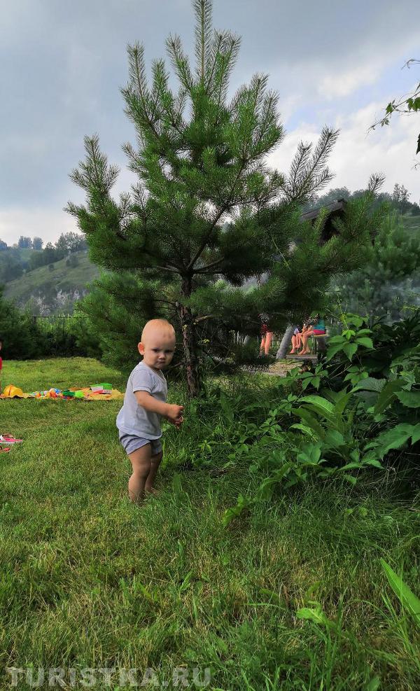 "Внимание!!! В горах Алтая обнаружен Нежный человек."