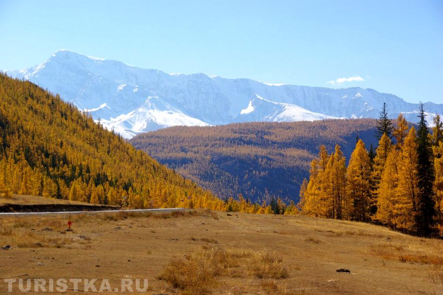 Курай, Алтай.