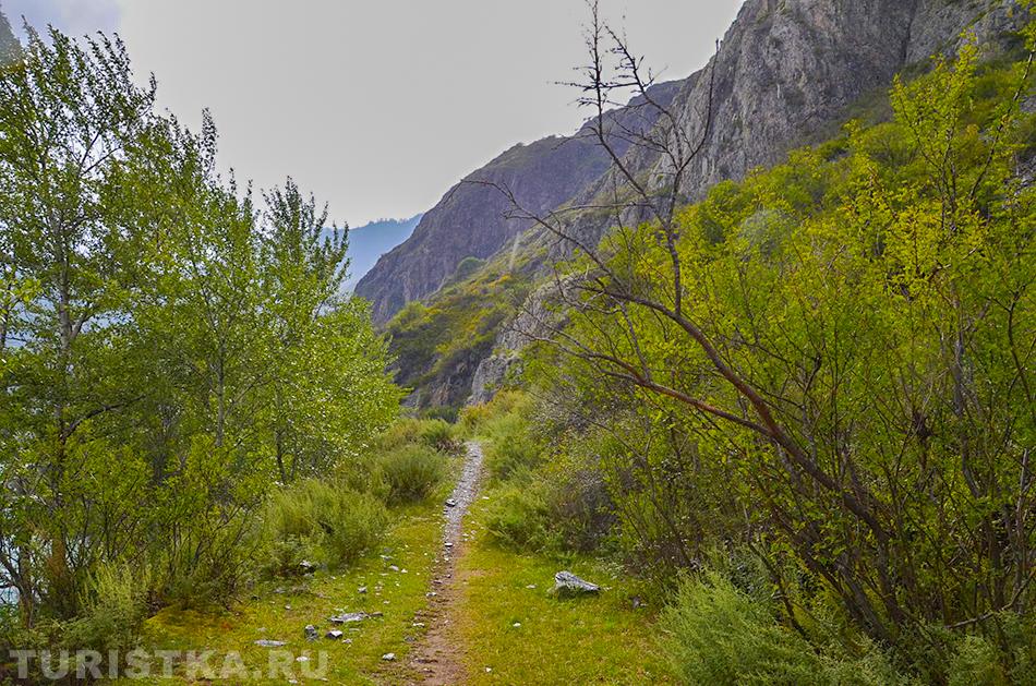  Дорога к слиянию Катуни и Аргута