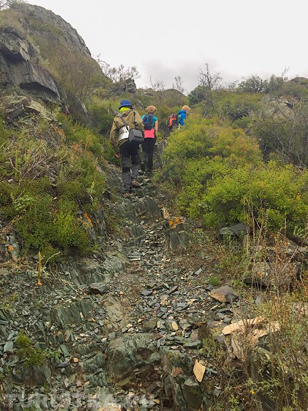 Тропа к полочке, где можно оставить машину