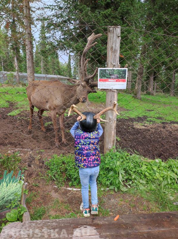 "Человеческий детёныш?" Зоопарк на Телецком озере. 