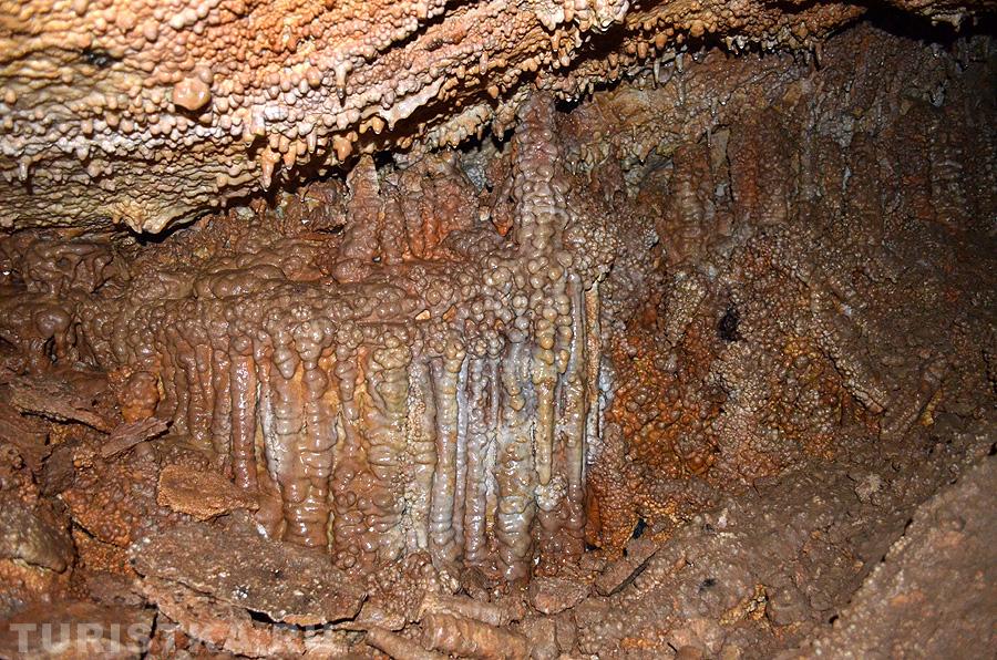 Грот "Медуза"