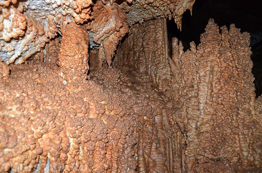 Натечные образования