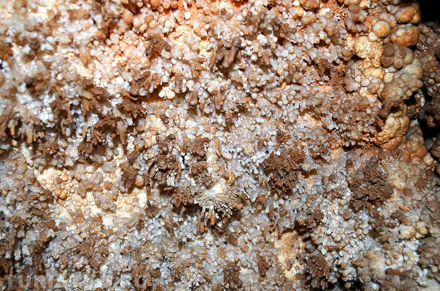 Мелкие кристаллы кальцита