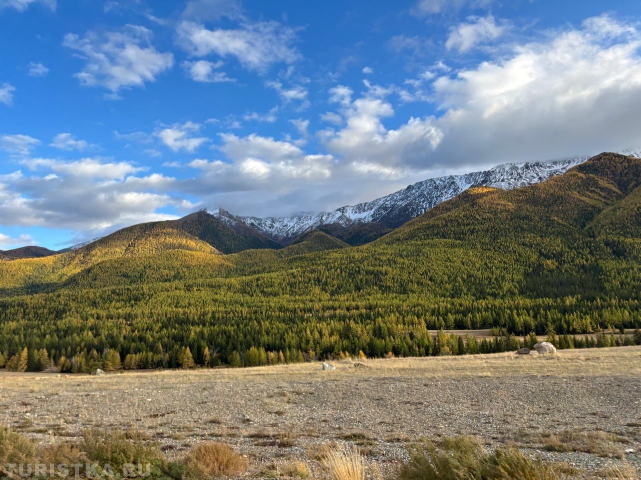Алтай. Кош-Агачский район