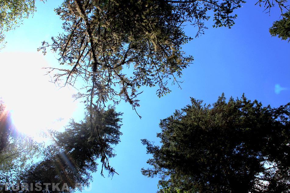 Когда светит солнце : Алтайский край