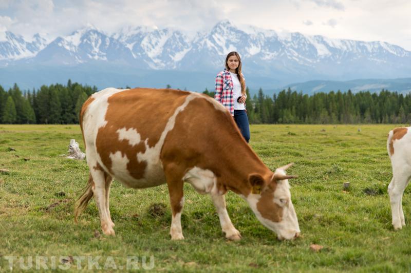 2. Девушка, уйдите из кадра, меня тут снимают. Село Курай.