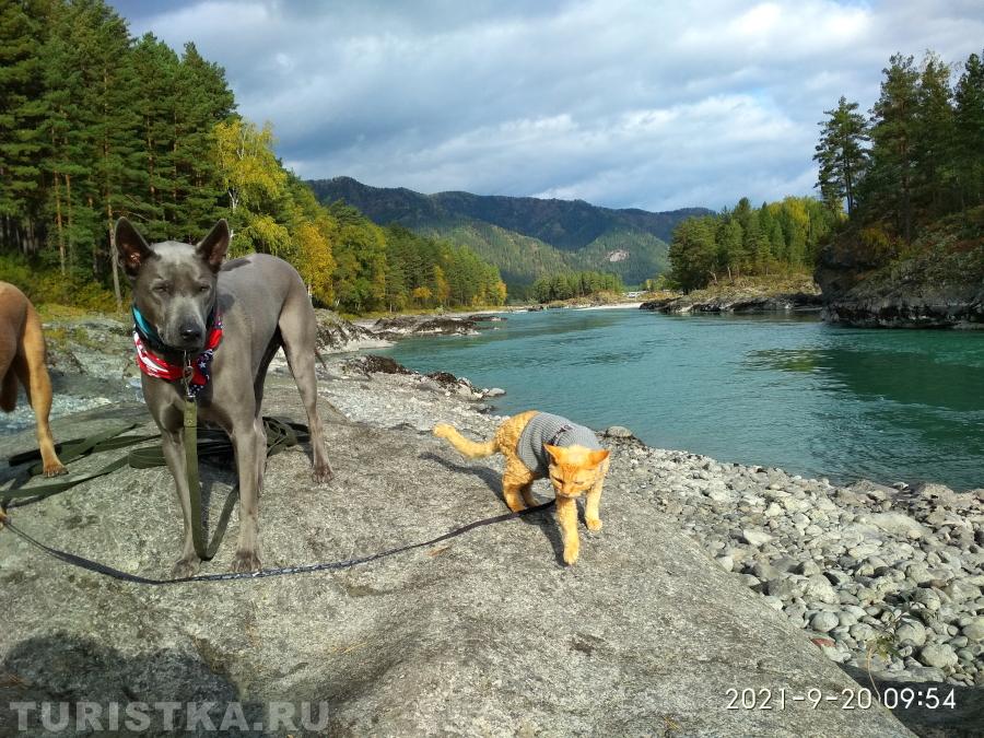 Неверова Юлия. Катунские ванночки, Усть Сема.