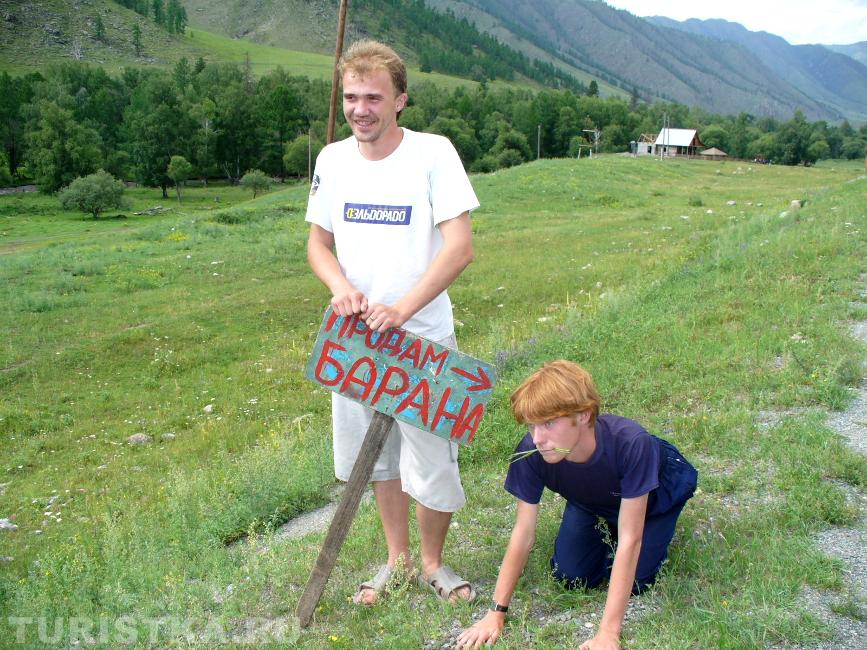 "Купи барана! Недорого!"