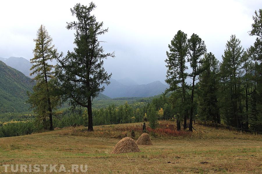 Осень в Уймонской долине