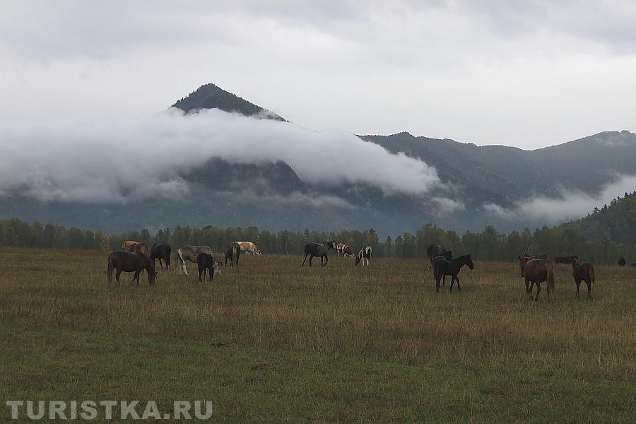 Осень в Уймонской долине