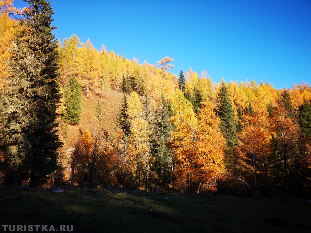 Осень на Алтае