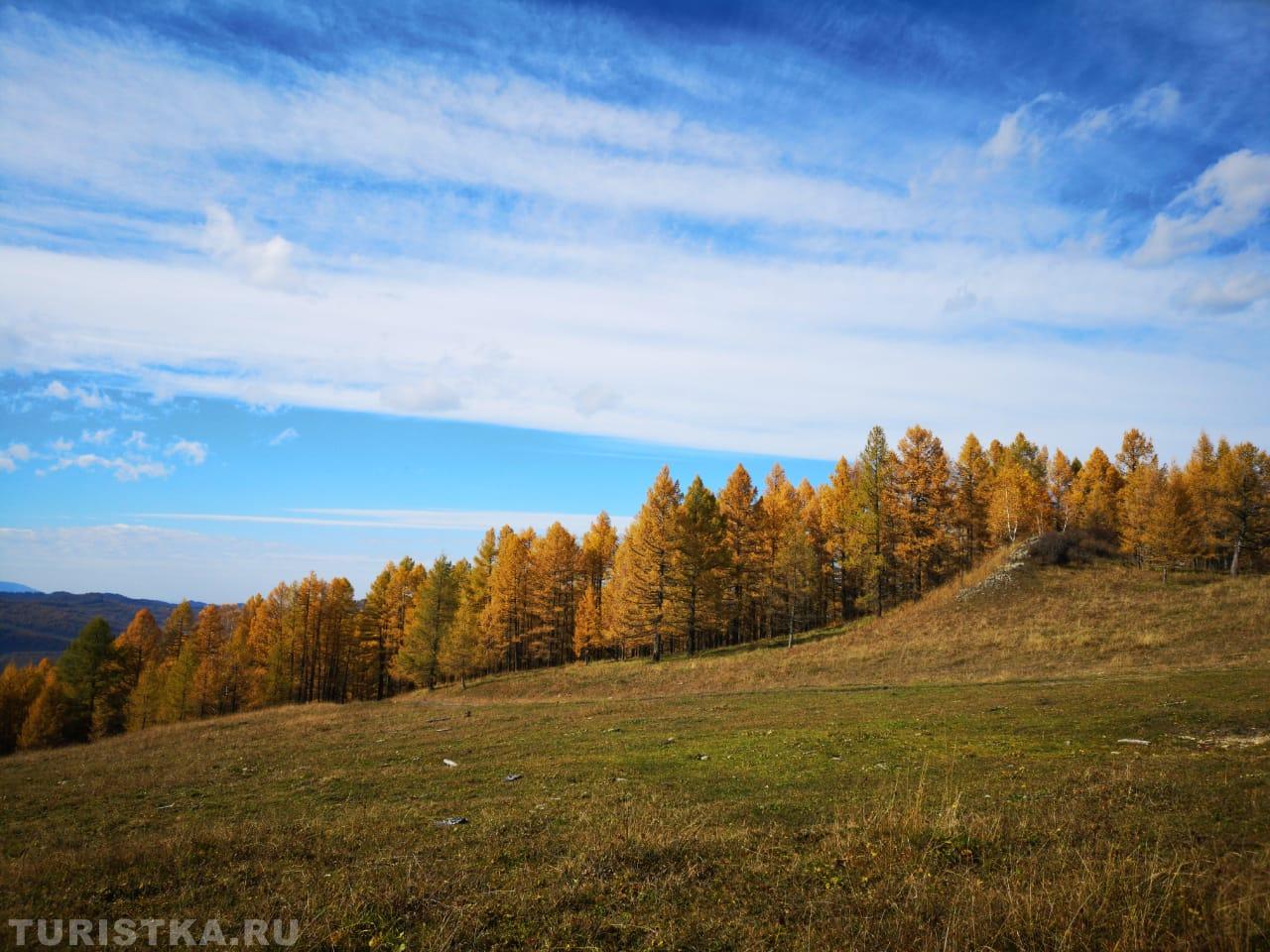 Осень на Алтае