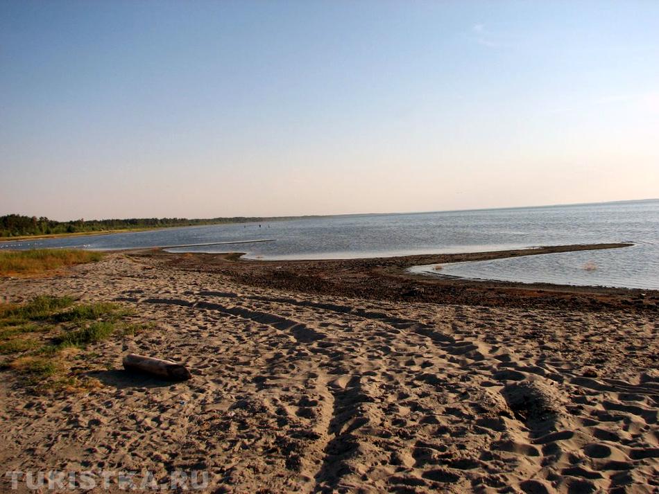 Озеро Горькое, восточный берег