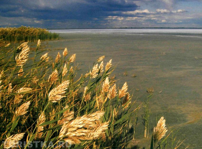 Озеро Куричье