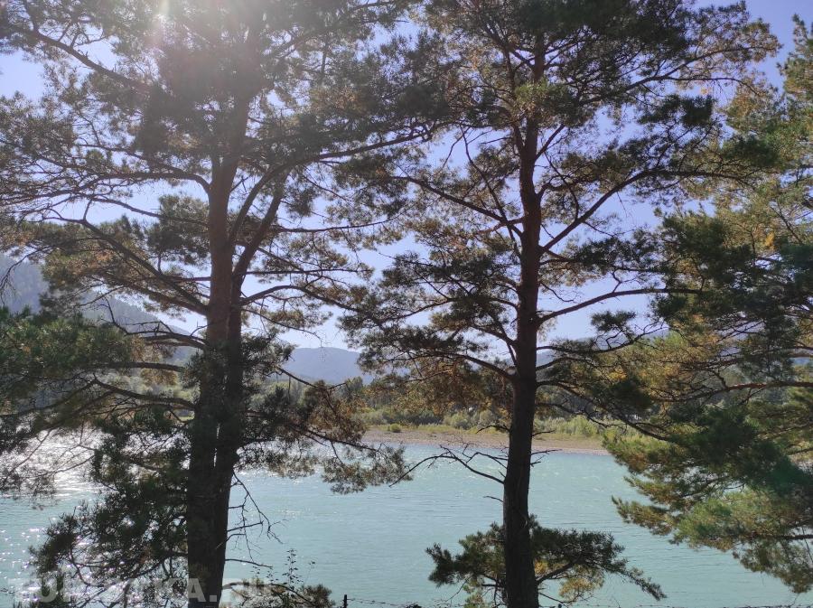 Палашенко Юлия. Село Усть-Сема