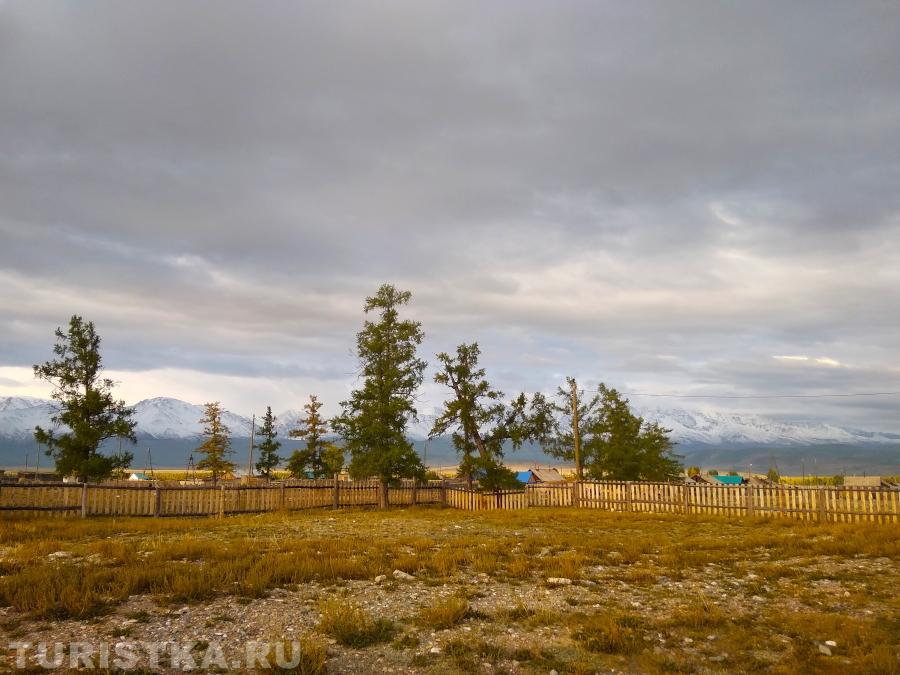 Панова Яна. Село Курай