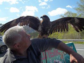 Птичка-птичка, а покажи нам ,,МОНТАНУ,, 