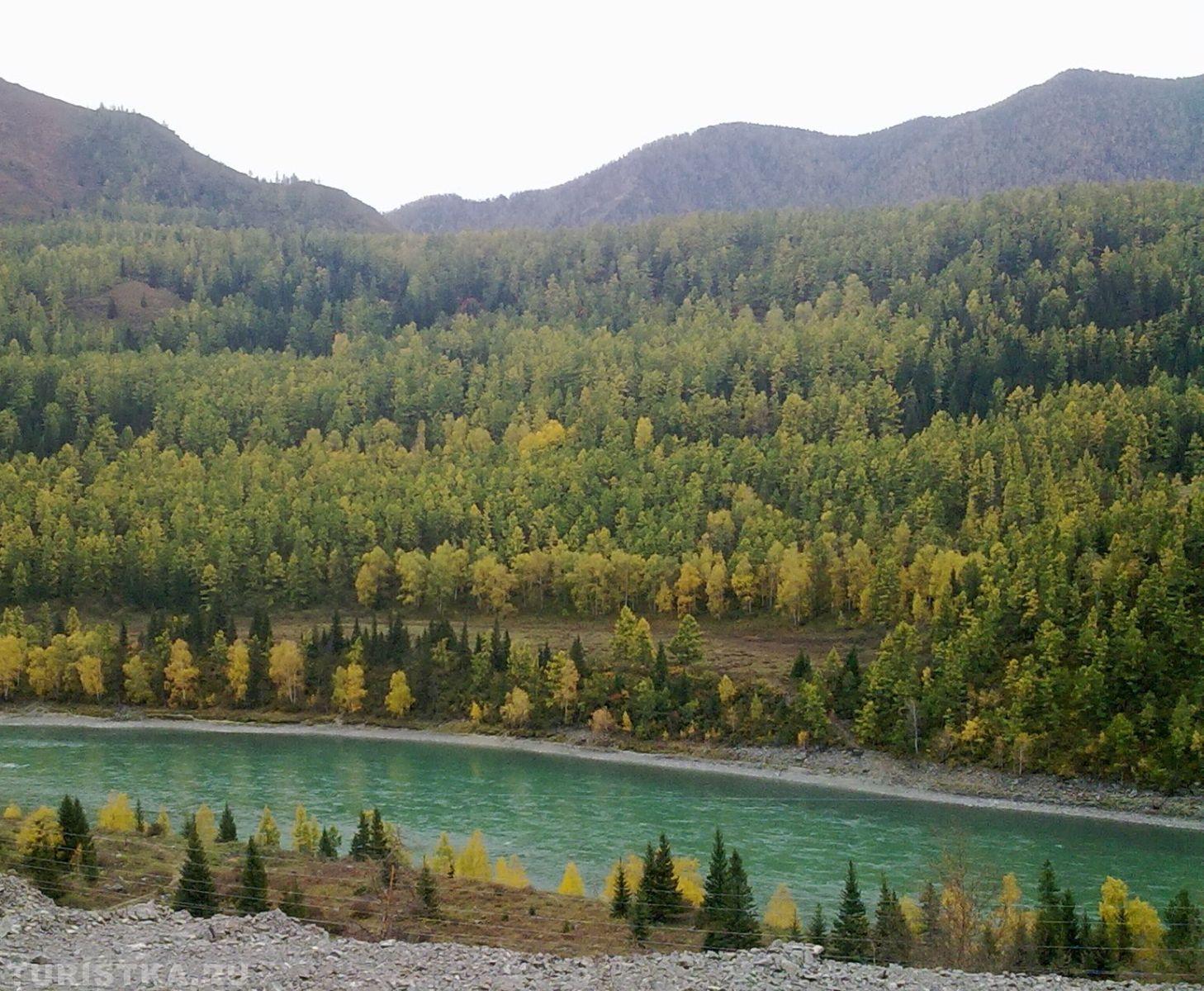 Золотая Осень 2023 - Виталий Реймхе