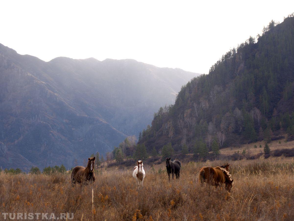 Золотая Осень 2023 - Константин Романов