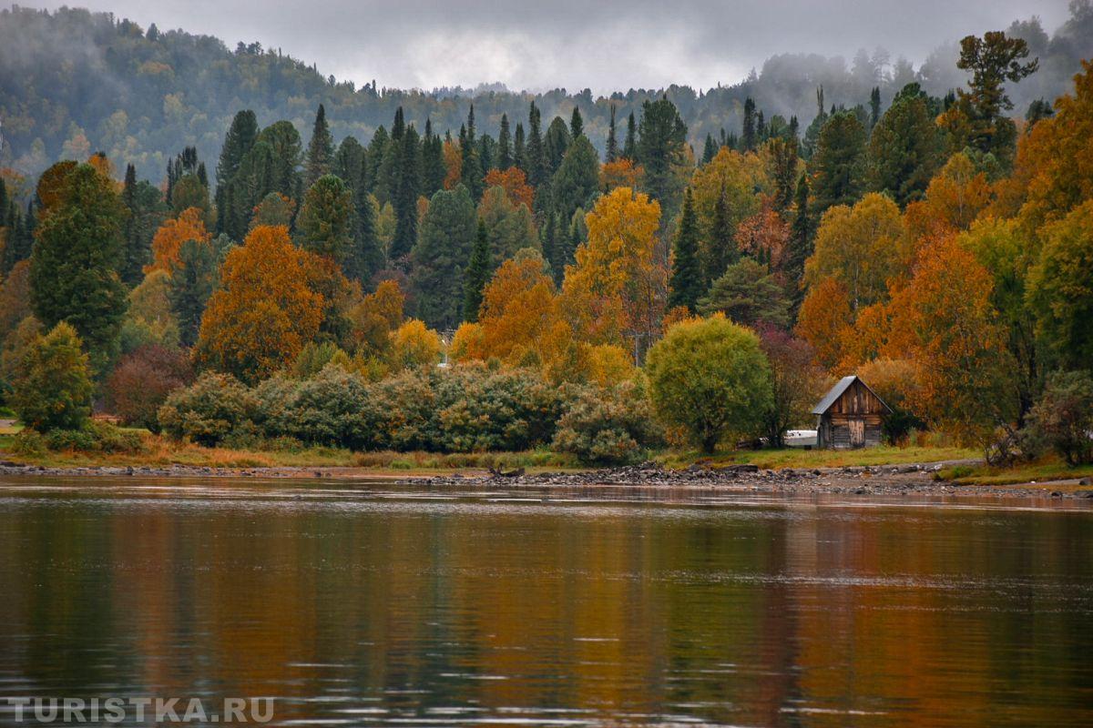 Золотая Осень 2023 - Эльвира Чернова