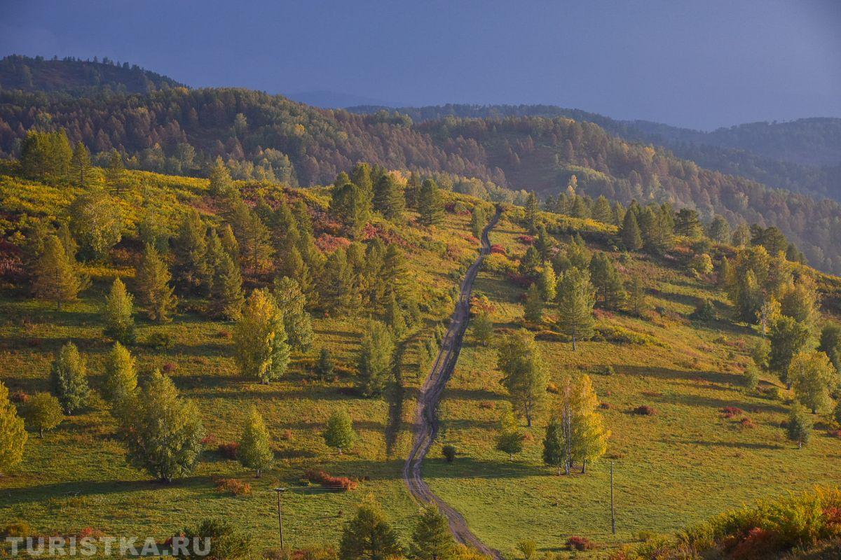 Золотая Осень 2023 - Эльвира Чернова