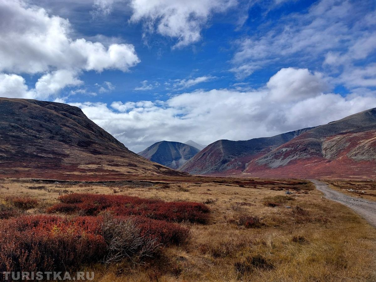 Золотая Осень 2023 - Наталья Борисова