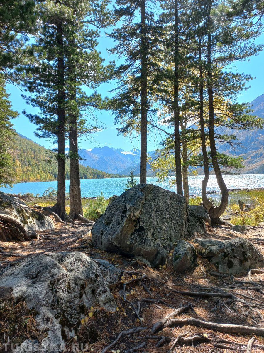 Золотая Осень 2023 - Татьяна Вострикова