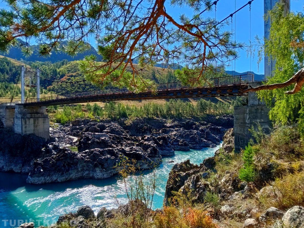 Золотая Осень 2023 - Елена Литвинова