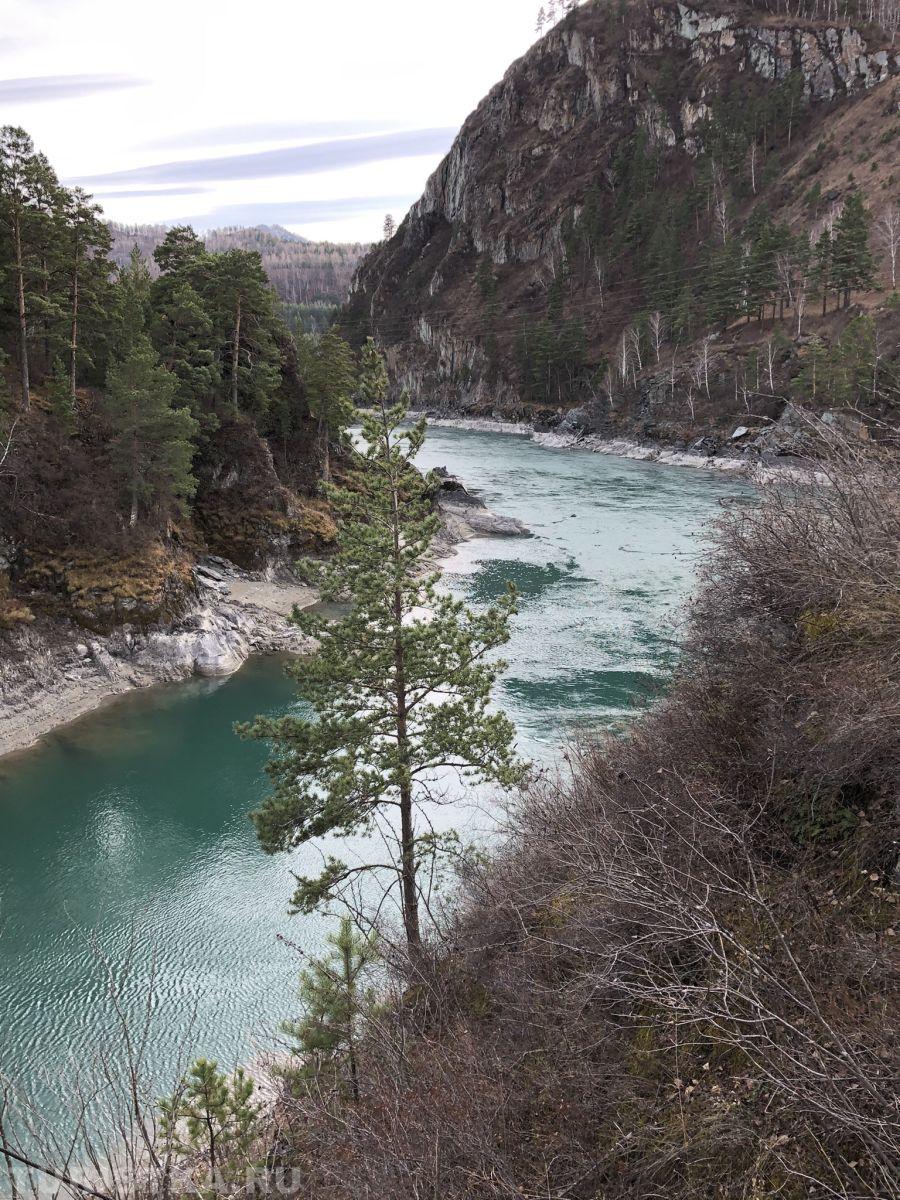 Золотая осень 2023 - Ирина Рябкова