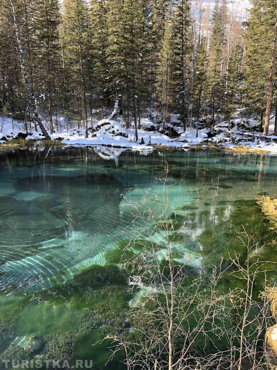 Золотая осень 2023 - Артём Рябков 