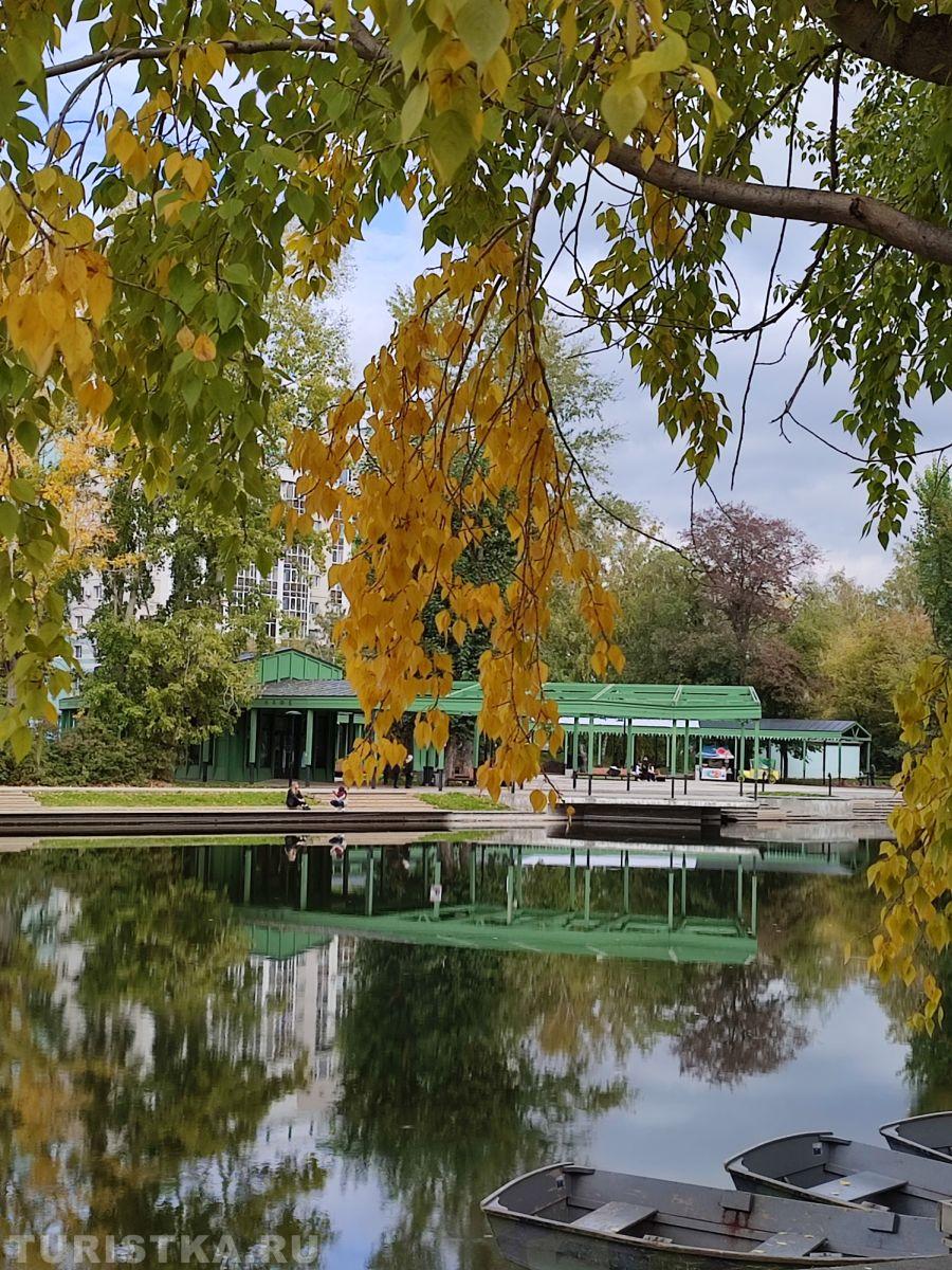 Золотая осень 2023 - Лариса Корниенко