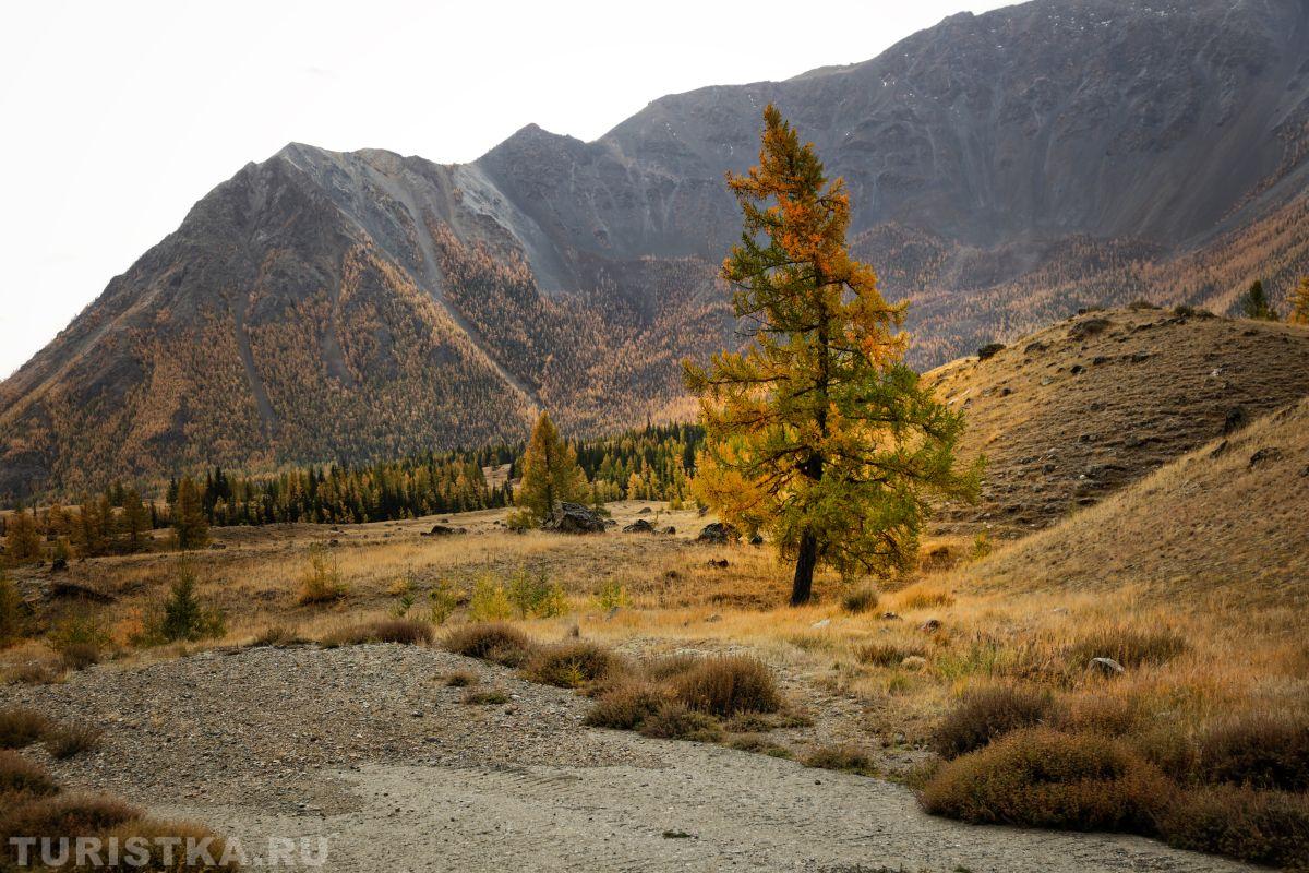 Золотая осень 2023 - Ольга Кириллова