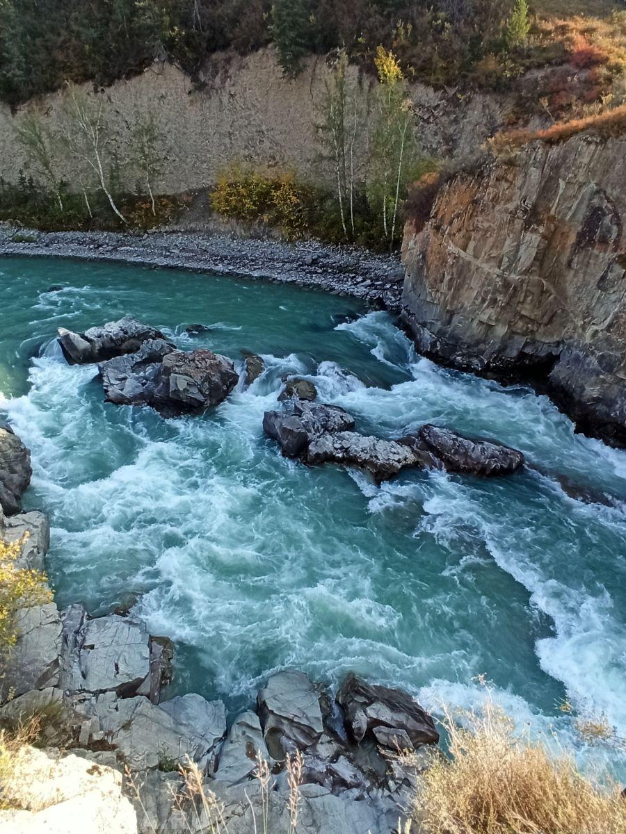 Золотая осень 2023 - Ирина Шарапанова