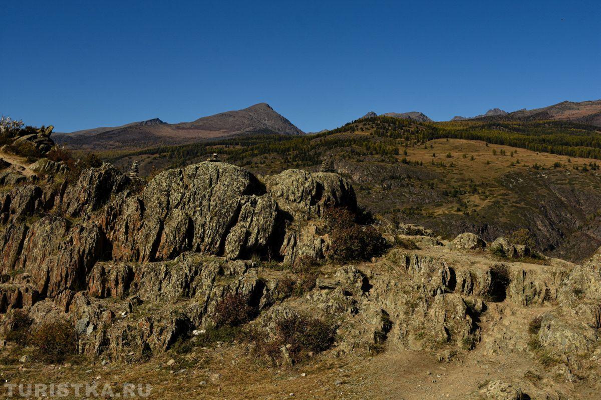 Золотая осень 2023 - Марина Алексеева