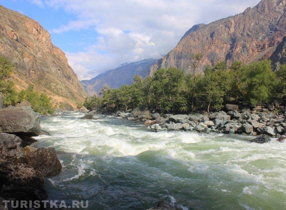 Золотая осень 2023 - Анна Желтухина