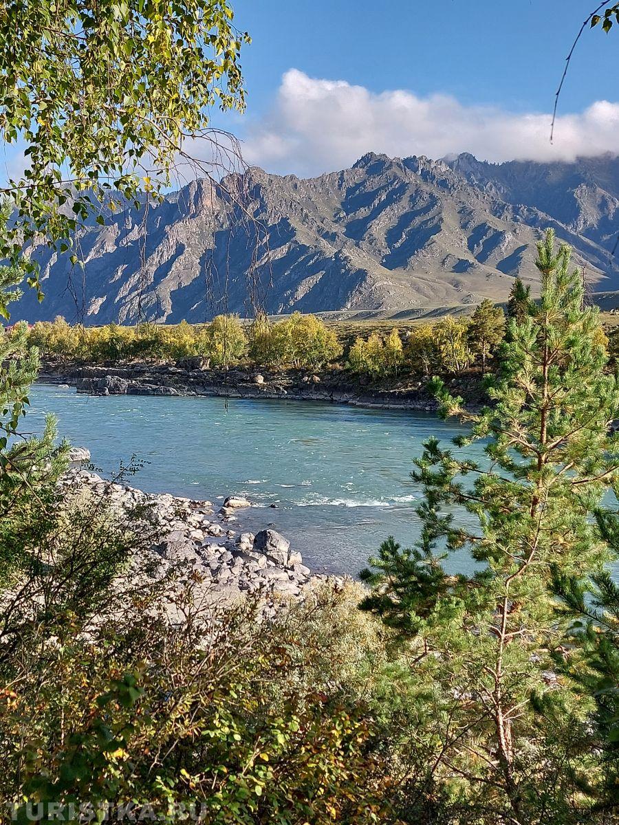 Золотая осень 2023 - Роман Богдановский