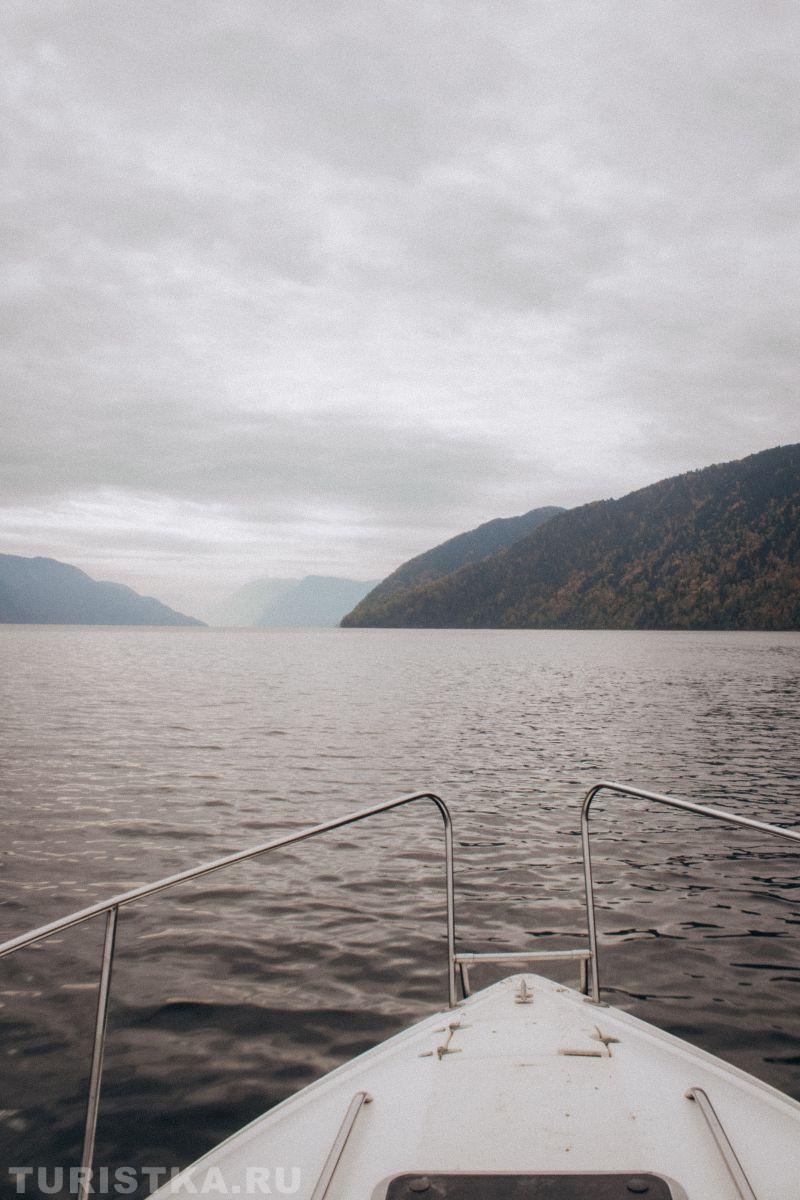 Золотая осень 2023 - Марина Монченко