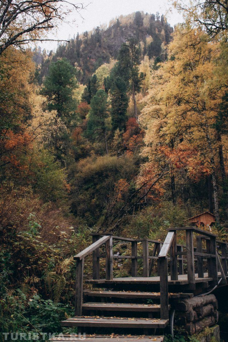 Золотая осень 2023 - Марина Монченко