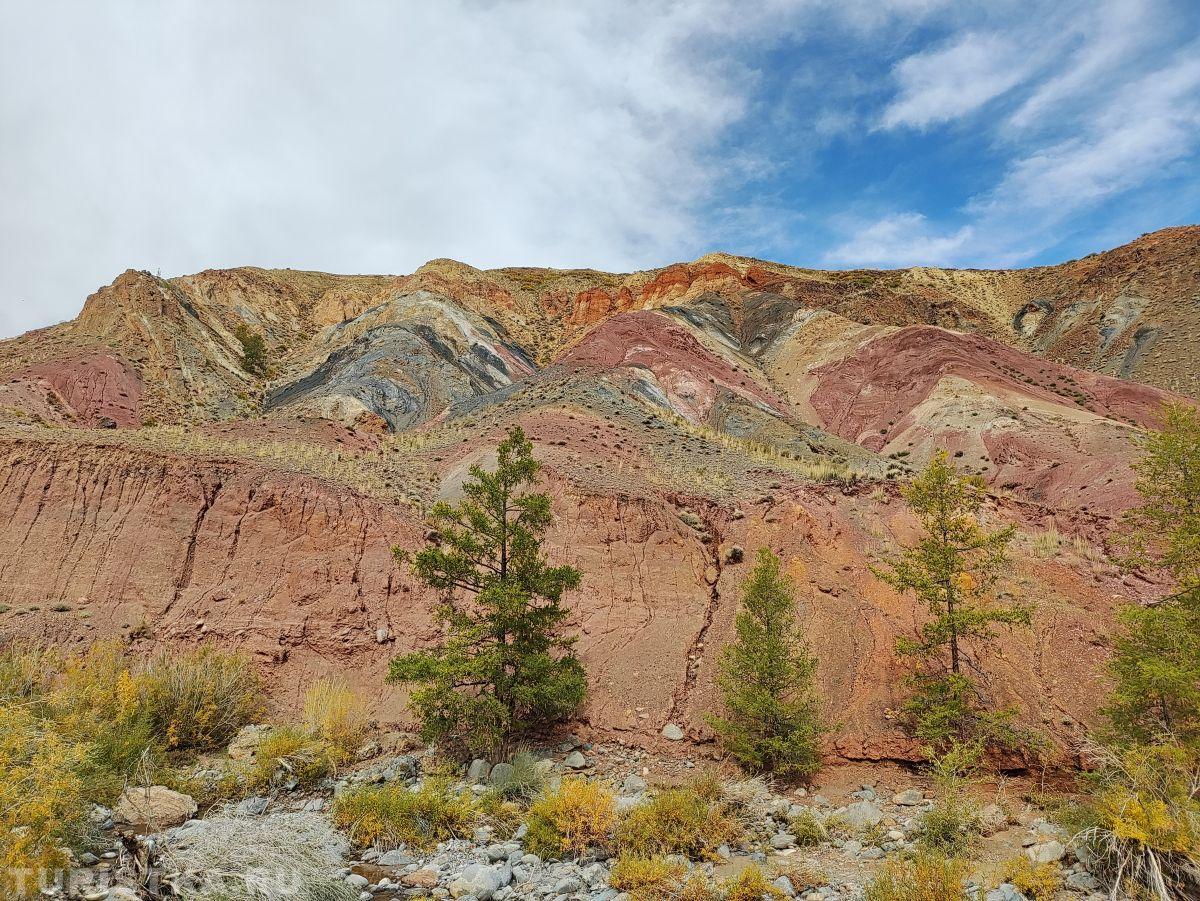 Золотая осень 2023 - Елена Сороковых 