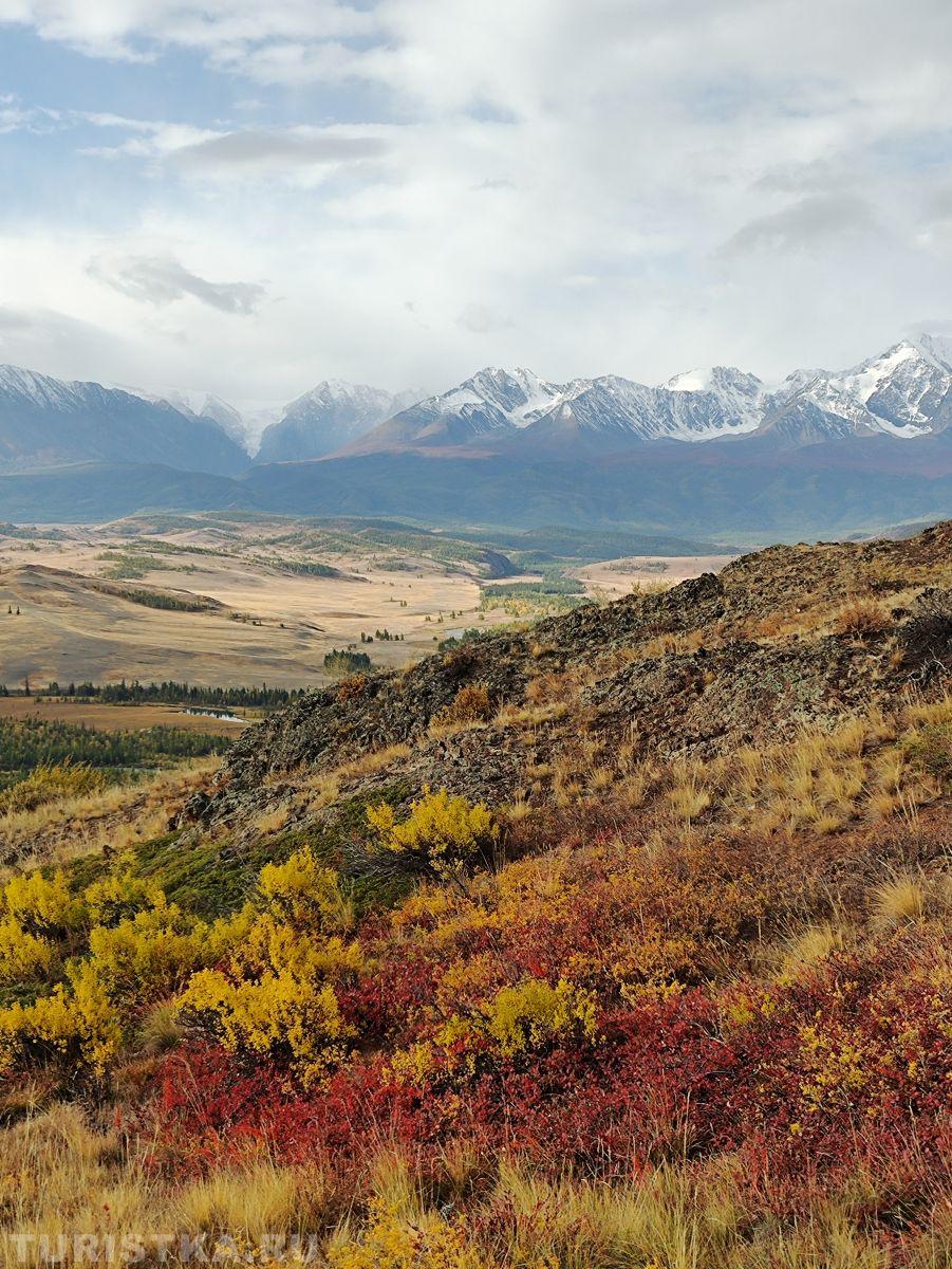 Золотая осень 2023 - Елена Сороковых 